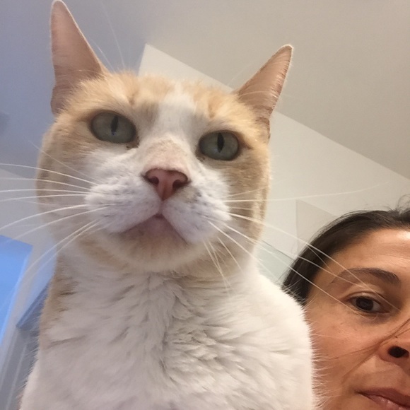 Meet your Posher, Jennifer - Picture 1 of 1